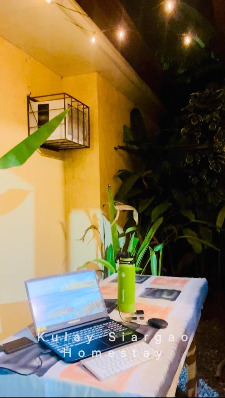 Ameeza Houze Homestay - Siargao General Luna  Exterior photo